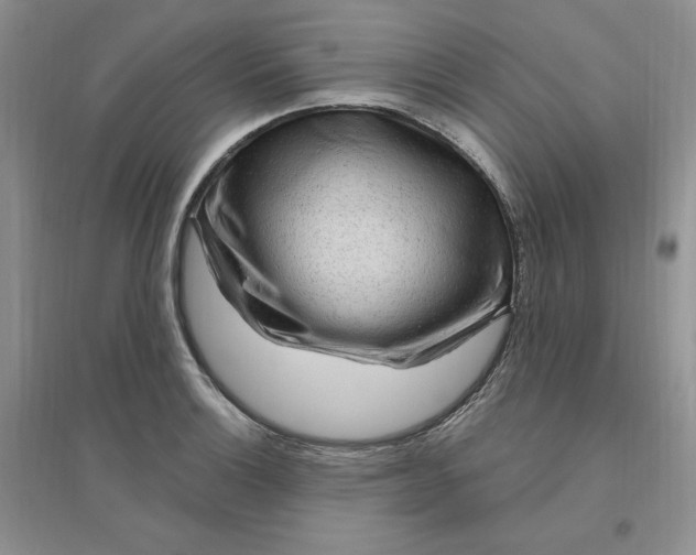 X0000096411132200802071649