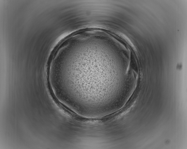 X0000096411133200802071649