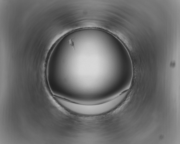 X0000096411134200802071649