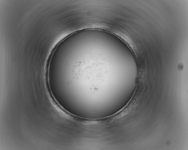 X0000096411135200802071649