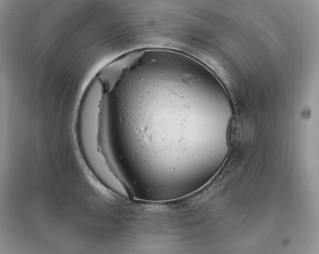 X0000096411136200802071649