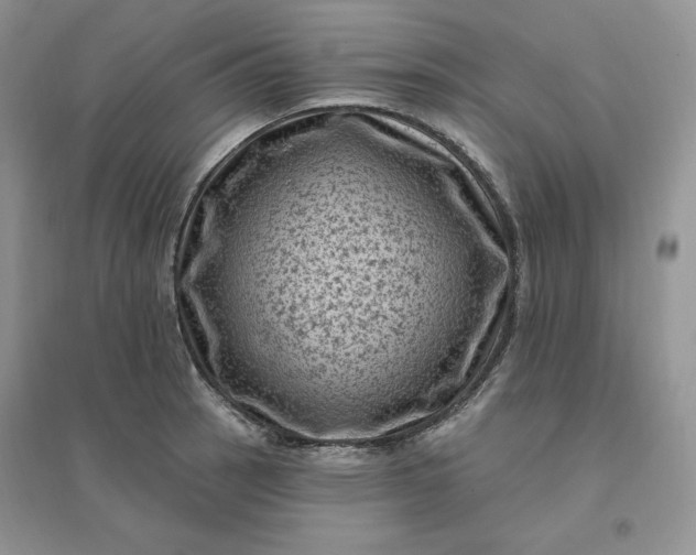 X0000096411137200802071649
