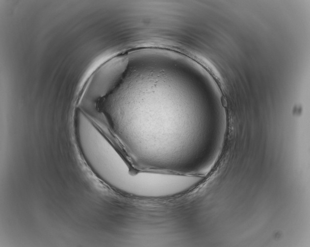 X0000096411138200802071649