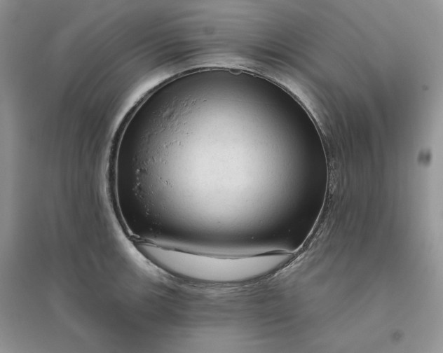 X0000096411139200802071649