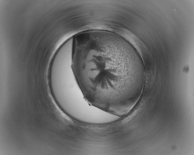 X0000096411141200802071649