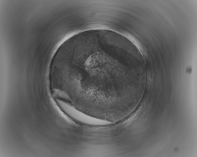 X0000096411142200802071649