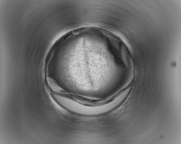 X0000096411143200802071649
