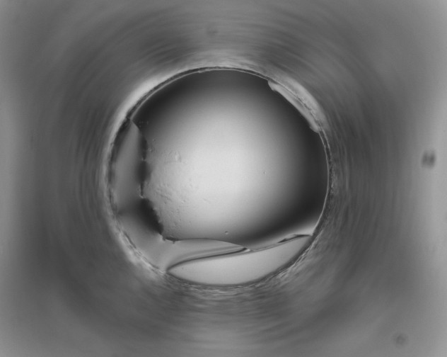 X0000096411144200802071649