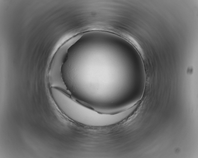 X0000096411146200802071649