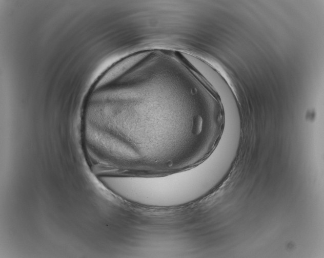 X0000096411147200802071649