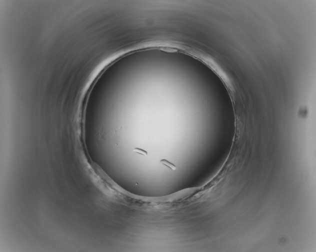 X0000096411148200802071649