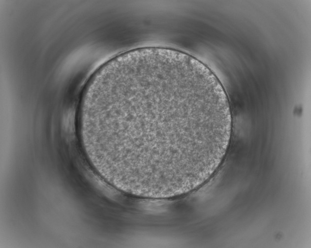 X0000096411150200802071649