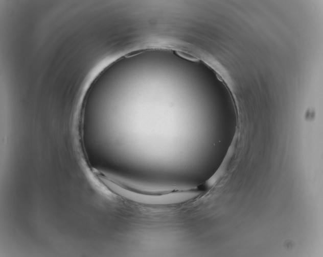 X0000096411152200802071649