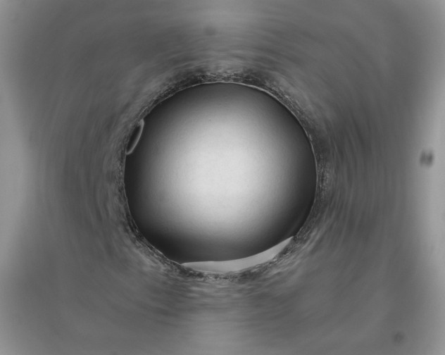 X0000096411153200802071648