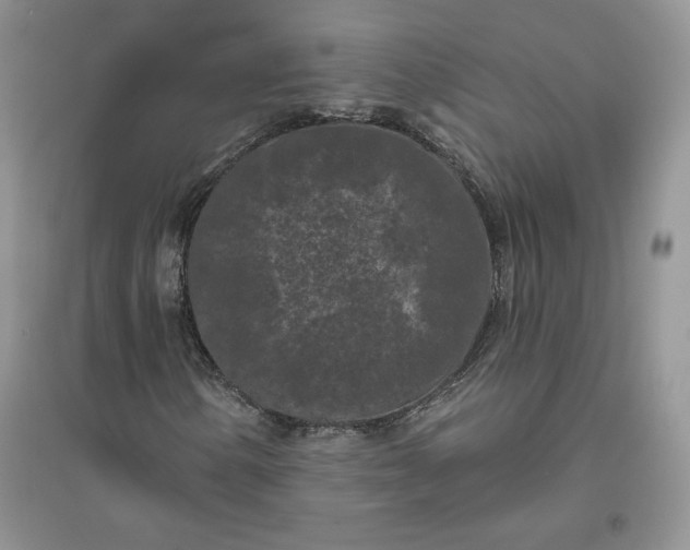 X0000096411154200802071648