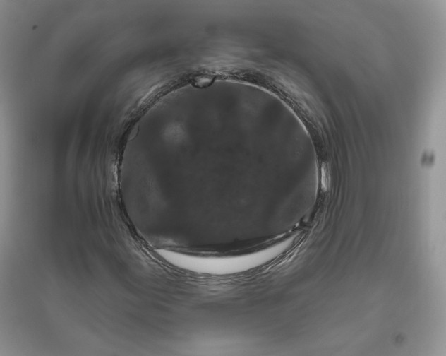 X0000096411155200802071648