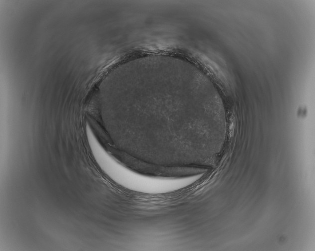 X0000096411156200802071648
