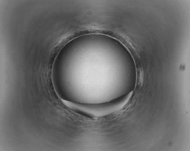 X0000096411157200802071648