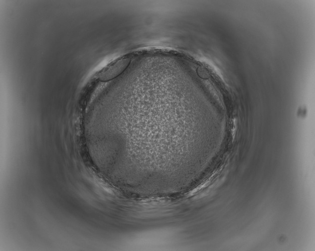 X0000096411159200802071648