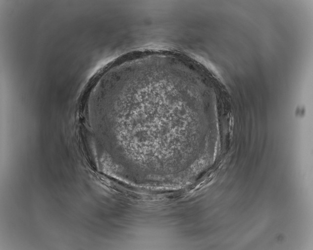 X0000096411160200802071648