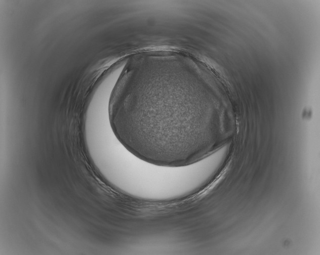 X0000096411161200802071648