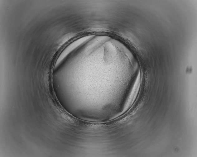 X0000096411162200802071648