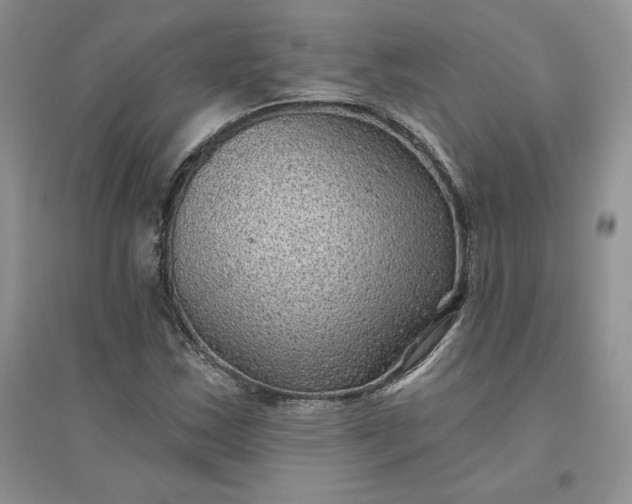 X0000096411163200802071648