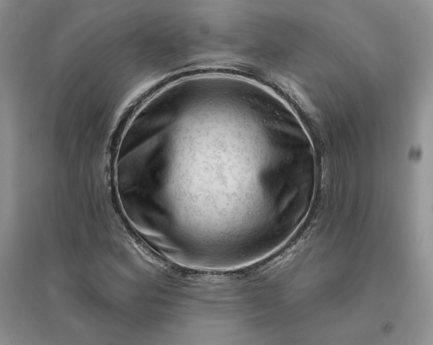 X0000096411164200802071648