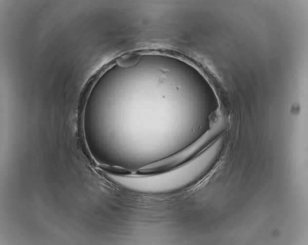 X0000096411165200802071648