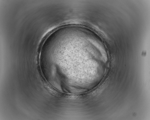 X0000096411166200802071648