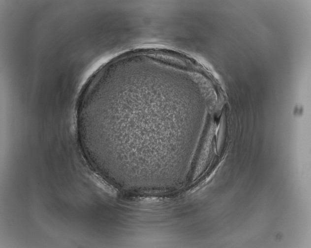 X0000096411167200802071648
