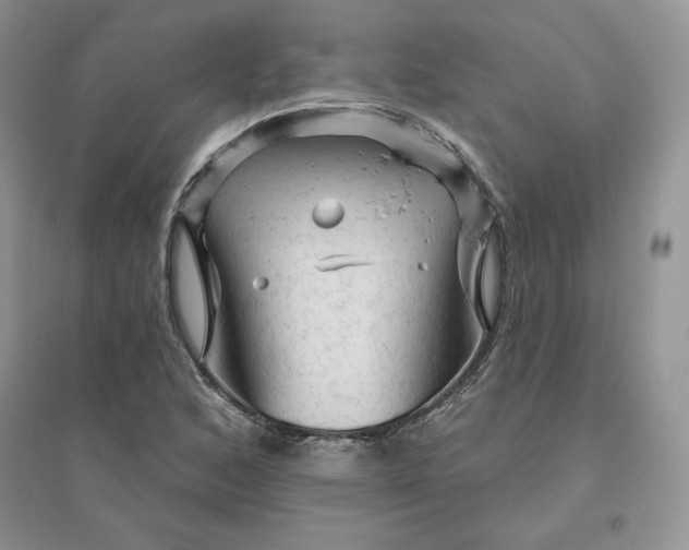 X0000096411168200802071648