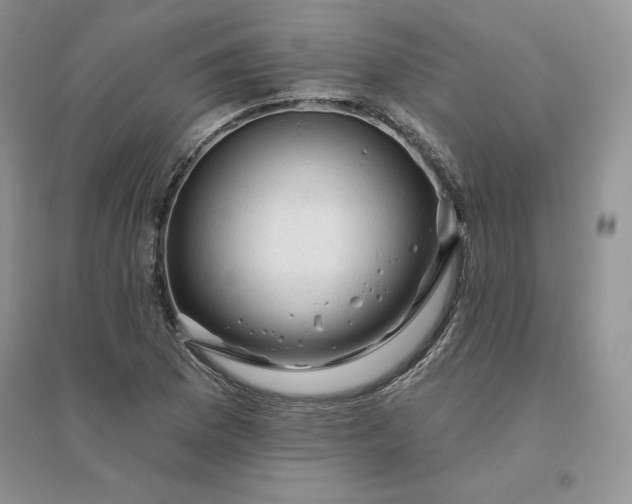 X0000096411169200802071648