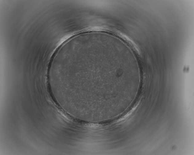 X0000096411170200802071648