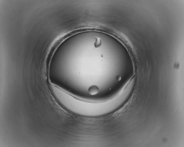 X0000096411172200802071648
