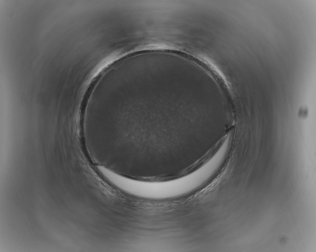 X0000096411173200802071648