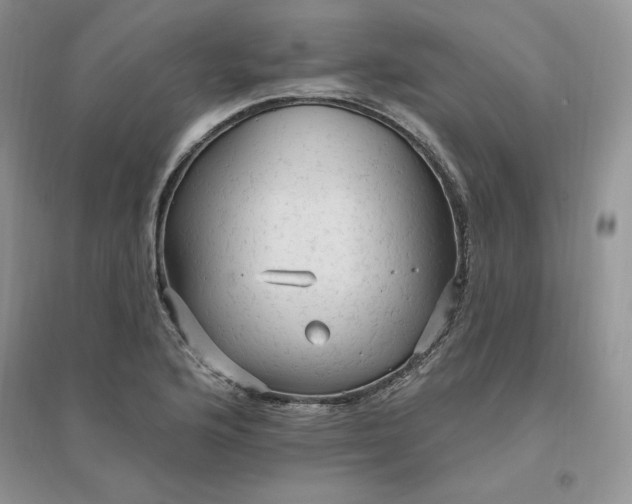 X0000096411176200802071648