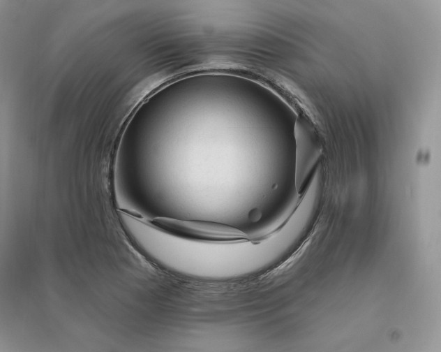 X0000096411177200802071648
