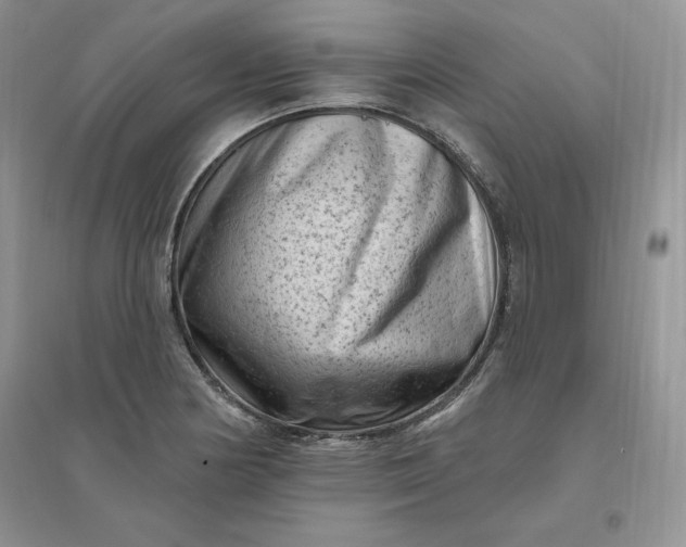 X0000096411178200802071648