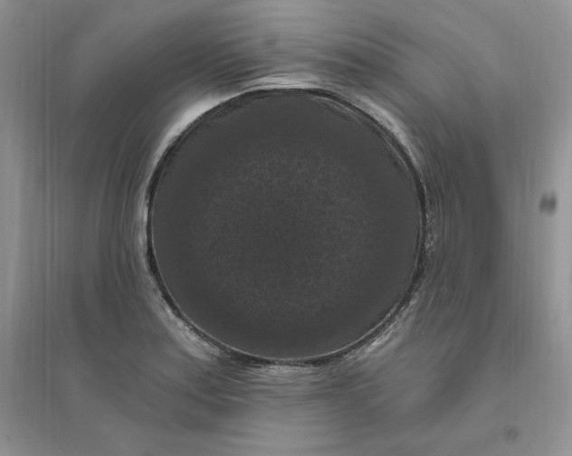 X0000096411179200802071648