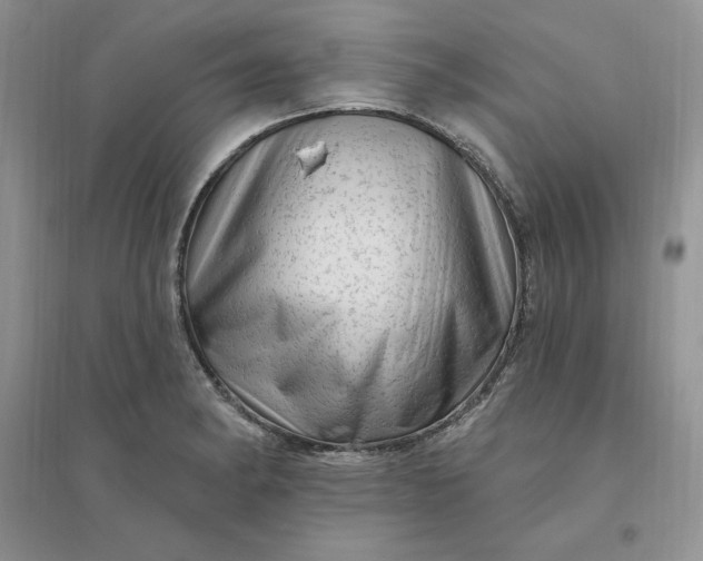 X0000096411182200802071648