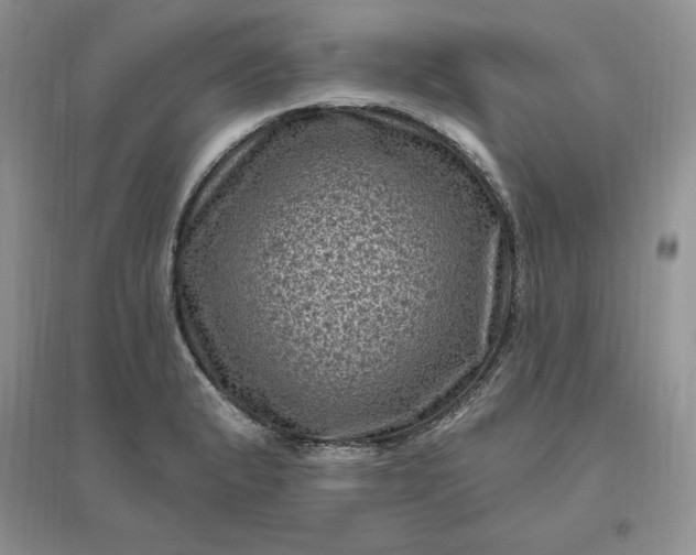 X0000096411183200802071648