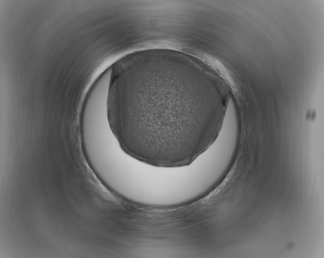X0000096411184200802071648