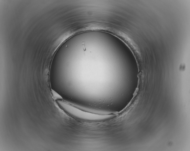X0000096411185200802071648