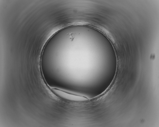 X0000096411186200802071648