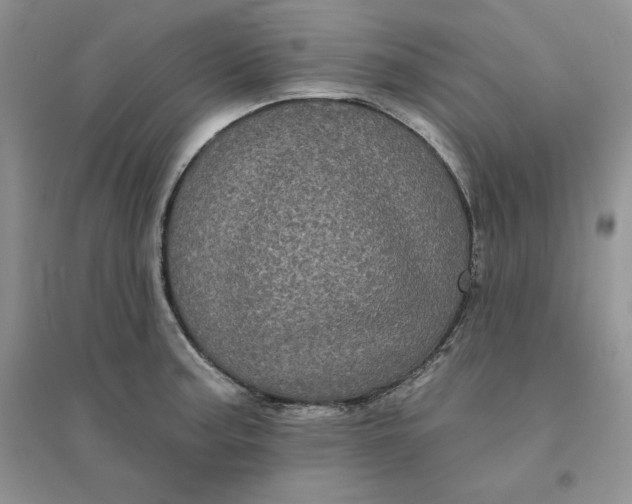 X0000096411187200802071648