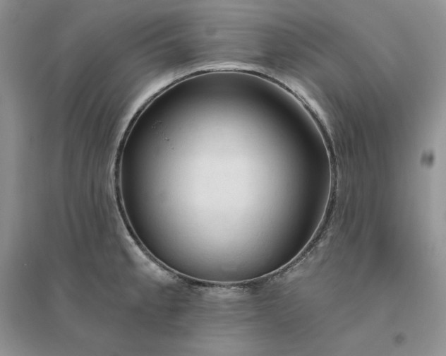 X0000096411189200802071648