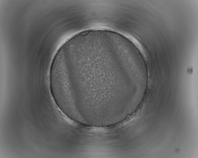 X0000096411191200802071648