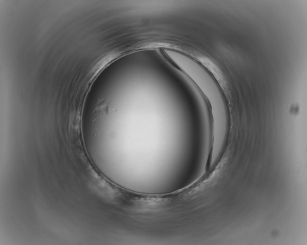X0000096411193200802071648