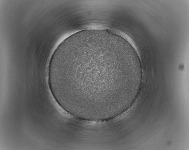 X0000096411195200802071648